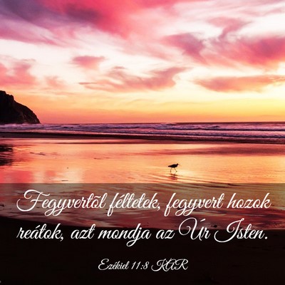 Picture 03 - Ezékiel 11:8 KAR - Fegyvertõl féltetek, fegyvert hozok reátok, - Bible Verse Picture