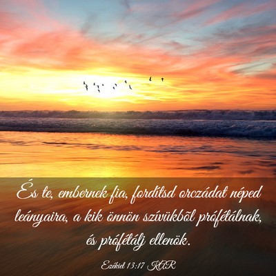 Picture 03 - Ezékiel 13:17 KAR - És te, embernek fia, fordítsd orczádat néped - Bible Verse Picture