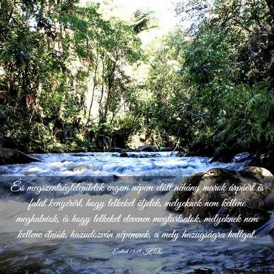 Picture 03 - Ezékiel 13:19 KAR - És megszentségtelenítetek engem népem elõtt - Bible Verse Picture