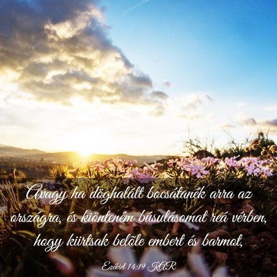 Picture 03 - Ezékiel 14:19 KAR - Avagy ha döghalált bocsátanék arra az - Bible Verse Picture