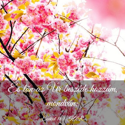 Picture 03 - Ezékiel 16:1 KAR - És lõn az Úr beszéde hozzám, - Bible Verse Picture