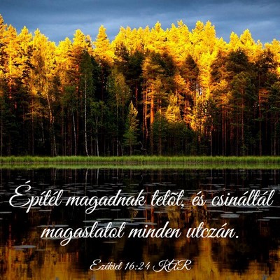 Picture 03 - Ezékiel 16:24 KAR - Építél magadnak tetõt, és csináltál - Bible Verse Picture