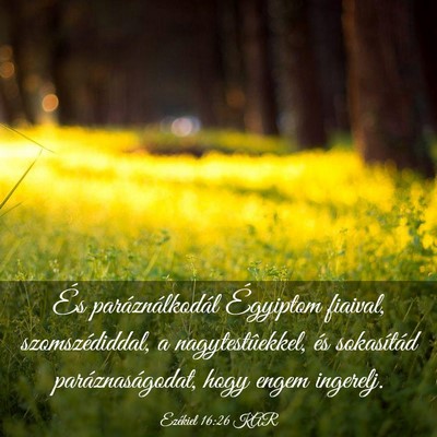 Picture 03 - Ezékiel 16:26 KAR - És paráználkodál Égyiptom fiaival, - Bible Verse Picture