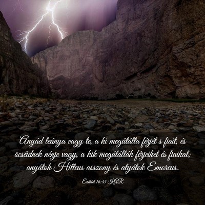 Picture 03 - Ezékiel 16:45 KAR - Anyád leánya vagy te, a ki megútálta férjét - Bible Verse Picture