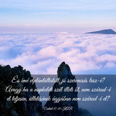 Picture 03 - Ezékiel 17:10 KAR - És ímé elplántáltatott, jó szerencsés - Bible Verse Picture