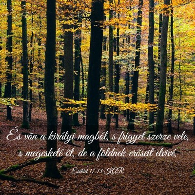 Picture 03 - Ezékiel 17:13 KAR - És võn a királyi magból, s frigyet szerze - Bible Verse Picture