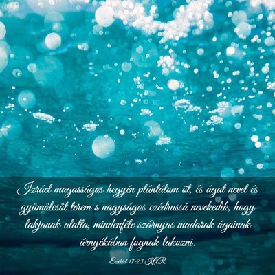 Picture 03 - Ezékiel 17:23 KAR - Izráel magasságos hegyén plántálom õt, és - Bible Verse Picture