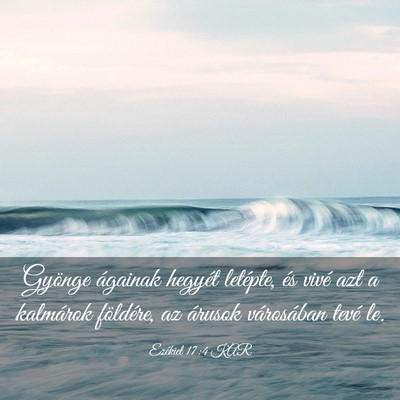 Picture 03 - Ezékiel 17:4 KAR - Gyönge ágainak hegyét letépte, és vivé azt - Bible Verse Picture