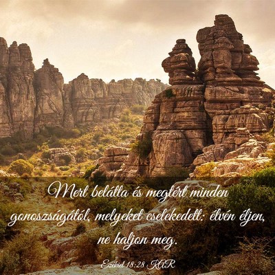 Picture 03 - Ezékiel 18:28 KAR - Mert belátta és megtért minden - Bible Verse Picture