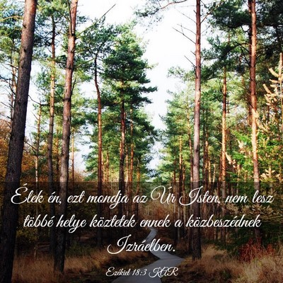 Picture 03 - Ezékiel 18:3 KAR - Élek én, ezt mondja az Úr Isten, nem lesz - Bible Verse Picture