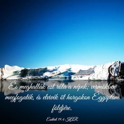 Picture 03 - Ezékiel 19:4 KAR - És meghallák ezt róla a népek; vermökben - Bible Verse Picture