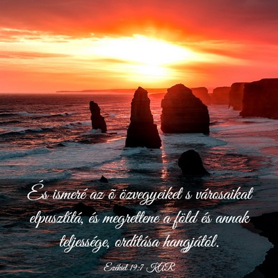 Picture 03 - Ezékiel 19:7 KAR - És ismeré az õ özvegyeiket s városaikat - Bible Verse Picture