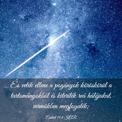 Picture 03 - Ezékiel 19:8 KAR - És veték ellene a pogányok köröskörül a - Bible Verse Picture