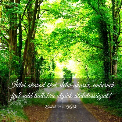 Picture 03 - Ezékiel 20:4 KAR - Ítélni akarod õket, ítélni akarsz, embernek - Bible Verse Picture