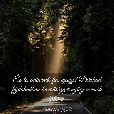 Picture 03 - Ezékiel 21:6 KAR - És te, embernek fia, nyögj! Derekad - Bible Verse Picture