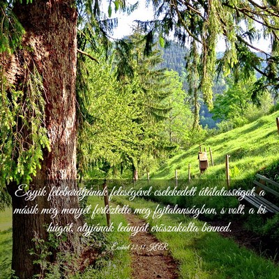 Picture 03 - Ezékiel 22:11 KAR - Egyik felebarátjának feleségével cselekedett - Bible Verse Picture