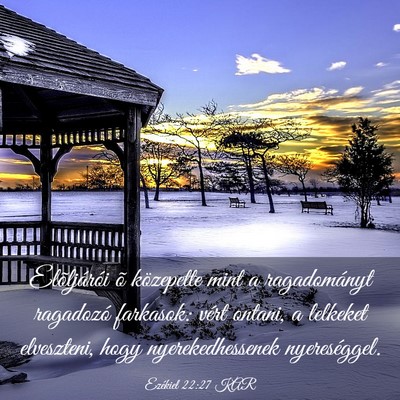 Picture 03 - Ezékiel 22:27 KAR - Elõljárói õ közepette mint a ragadományt - Bible Verse Picture