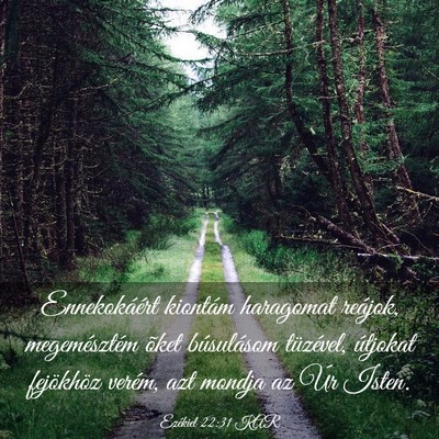 Picture 03 - Ezékiel 22:31 KAR - Ennekokáért kiontám haragomat reájok, - Bible Verse Picture