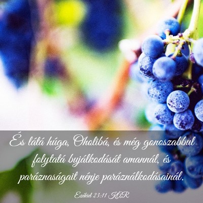 Picture 03 - Ezékiel 23:11 KAR - És látá húga, Oholibá, és még gonoszabbul - Bible Verse Picture