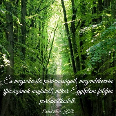 Picture 03 - Ezékiel 23:19 KAR - És megsokasítá paráznaságait, - Bible Verse Picture