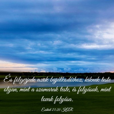 Picture 03 - Ezékiel 23:20 KAR - És fölgerjede azok bujálkodóihoz, kiknek - Bible Verse Picture