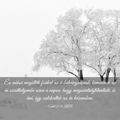 Picture 03 - Ezékiel 23:39 KAR - És mikor megölték fiaikat az õ - Bible Verse Picture