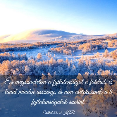 Picture 03 - Ezékiel 23:48 KAR - És megszüntetem a fajtalanságot a földrõl, - Bible Verse Picture