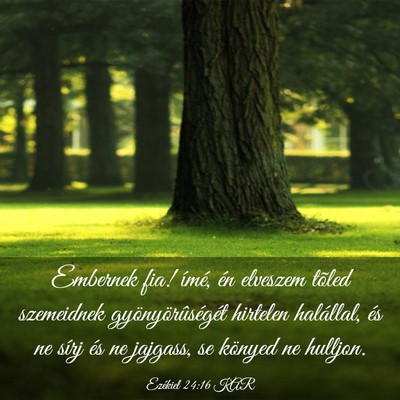 Picture 03 - Ezékiel 24:16 KAR - Embernek fia! ímé, én elveszem tõled - Bible Verse Picture