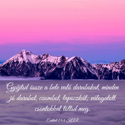 Picture 03 - Ezékiel 24:4 KAR - Gyûjtsd össze a bele való darabokat, minden - Bible Verse Picture