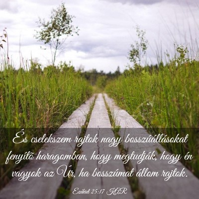 Picture 03 - Ezékiel 25:17 KAR - És cselekszem rajtok nagy bosszúállásokat - Bible Verse Picture