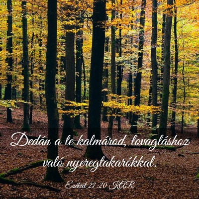 Picture 03 - Ezékiel 27:20 KAR - Dedán a te kalmárod, lovagláshoz való - Bible Verse Picture