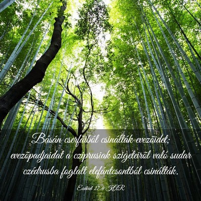 Picture 03 - Ezékiel 27:6 KAR - Básán cserfáiból csinálták evezõidet; - Bible Verse Picture