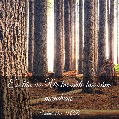 Picture 03 - Ezékiel 28:1 KAR - És lõn az Úr beszéde hozzám, - Bible Verse Picture