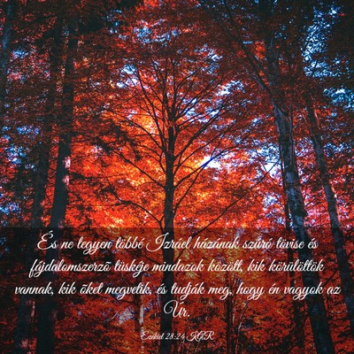 Picture 03 - Ezékiel 28:24 KAR - És ne legyen többé Izráel házának szúró - Bible Verse Picture