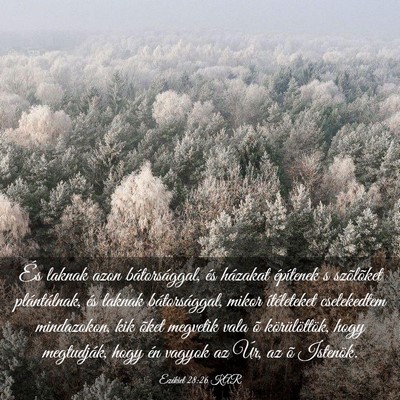 Picture 03 - Ezékiel 28:26 KAR - És laknak azon bátorsággal, és házakat - Bible Verse Picture