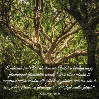 Picture 03 - Ezékiel 29:18 KAR - Embernek fia! Nabukodonozor Babilon királya nagy - Bible Verse Picture