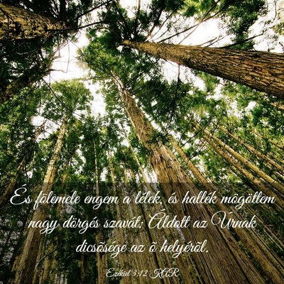 Picture 03 - Ezékiel 3:12 KAR - És fölemele engem a lélek, és hallék - Bible Verse Picture