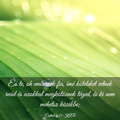 Picture 03 - Ezékiel 3:25 KAR - És te, oh embernek fia, ímé köteleket vetnek - Bible Verse Picture