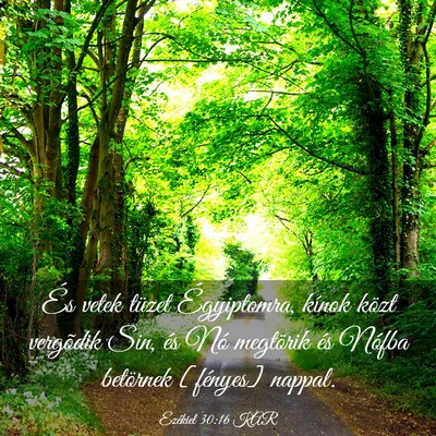 Picture 03 - Ezékiel 30:16 KAR - És vetek tüzet Égyiptomra, kínok közt - Bible Verse Picture
