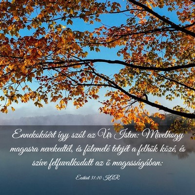 Picture 03 - Ezékiel 31:10 KAR - Ennekokáért így szól az Úr Isten: Mivelhogy - Bible Verse Picture