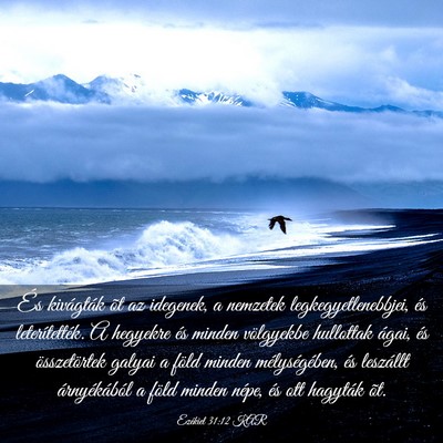 Picture 03 - Ezékiel 31:12 KAR - És kivágták õt az idegenek, a nemzetek - Bible Verse Picture