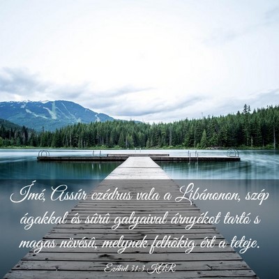 Picture 03 - Ezékiel 31:3 KAR - Ímé, Assúr czédrus vala a Libánonon, szép - Bible Verse Picture