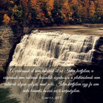 Picture 03 - Ezékiel 31:8 KAR - A czédrusok el nem takarák õt az Isten - Bible Verse Picture