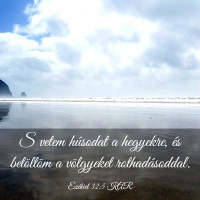 Picture 03 - Ezékiel 32:5 KAR - S vetem húsodat a hegyekre, és betöltöm a - Bible Verse Picture