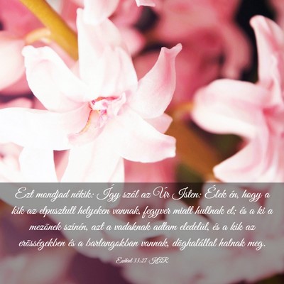 Picture 03 - Ezékiel 33:27 KAR - Ezt mondjad nékik: Így szól az Úr Isten: - Bible Verse Picture
