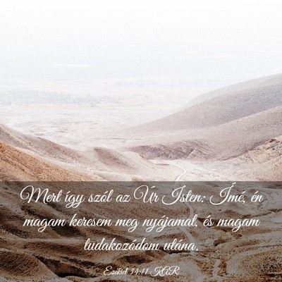 Picture 03 - Ezékiel 34:11 KAR - Mert így szól az Úr Isten: Ímé, én magam - Bible Verse Picture
