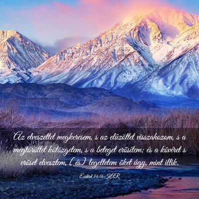 Picture 03 - Ezékiel 34:16 KAR - Az elveszettet megkeresem, s az elûzöttet - Bible Verse Picture
