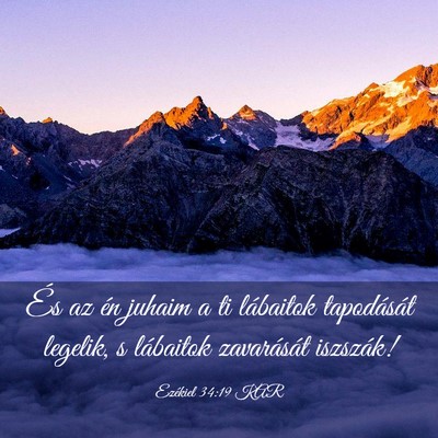 Picture 03 - Ezékiel 34:19 KAR - És az én juhaim a ti lábaitok tapodását - Bible Verse Picture