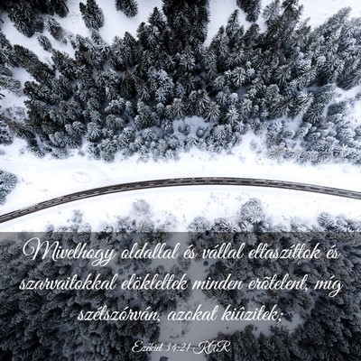 Picture 03 - Ezékiel 34:21 KAR - Mivelhogy oldallal és vállal eltaszíttok és - Bible Verse Picture