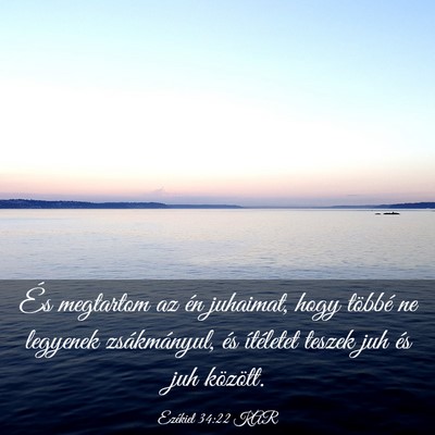 Picture 03 - Ezékiel 34:22 KAR - És megtartom az én juhaimat, hogy többé ne - Bible Verse Picture